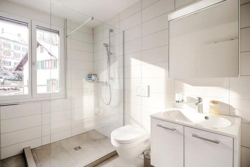 圣加仑EH Apartments Jupiter的白色的浴室设有卫生间和水槽。