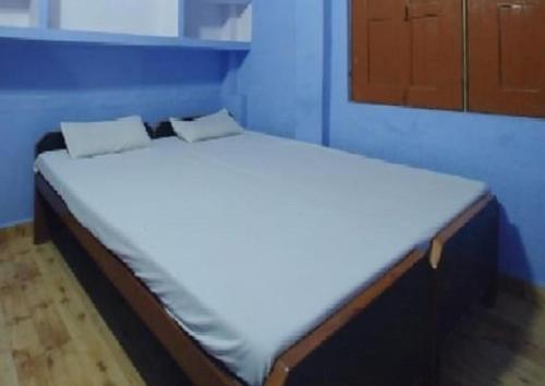 阿格拉Krishna Guest House By WB Inn的蓝色墙壁间的一张床位