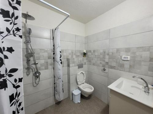 阿拉德Akhva Accommodation Unit-אחווה יחידת אירוח的浴室配有卫生间、盥洗盆和淋浴。