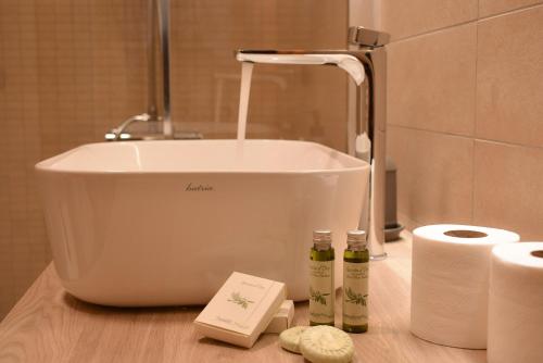 帕多瓦Padova Business Luxury Terrace的一间带盥洗盆和台面洗浴用品的浴室