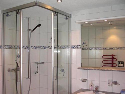 格林德尔瓦尔德Adler 2 Bett Wohnung的带淋浴、水槽和镜子的浴室