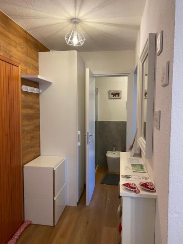 安泰伊-萨伊恩特-安德尔埃Appartamento Antey Saint André posizione centrale的客房内设有带水槽和卫生间的浴室