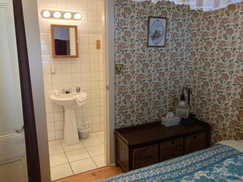 BarkervilleSt. George Hotel的一间带水槽和卫生间的小浴室