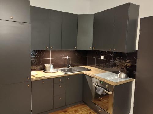 波兹南Prad 543的厨房配有深灰色橱柜和水槽
