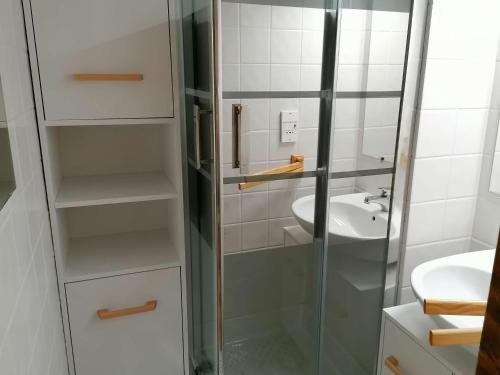 大博尔南Appartement Le Grand-Bornand, 1 pièce, 4 personnes - FR-1-241-176的一间带玻璃淋浴和水槽的浴室