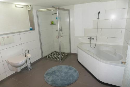 Hochstetten-DhaunFerienhaus Laila的带淋浴、浴缸和卫生间的浴室