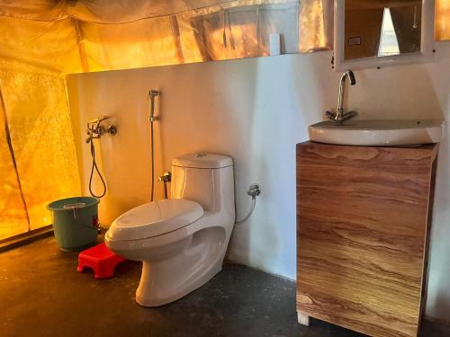 CharāsaTongspon Camp Nubra的一间带卫生间和水槽的浴室