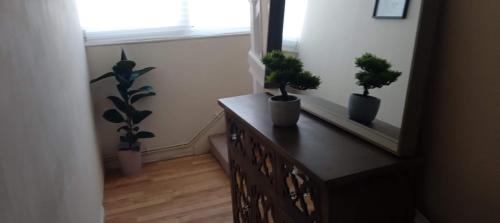 伦敦Comfortable double room的两个盆栽植物坐在一个房间里的一个梳妆台上