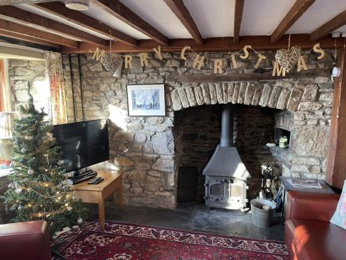 阿伯代尔Tunnel Cottages at Blaen-nant-y-Groes Farm的客厅设有石制壁炉,配有圣诞树
