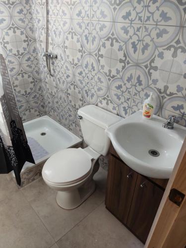 巴拉斯港OmShanti的一间带卫生间和水槽的浴室