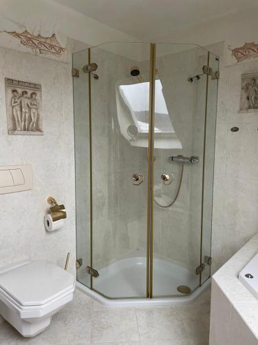 施马伦贝格Weitblick auf Berg, Wald und Wiese的带淋浴和卫生间的浴室