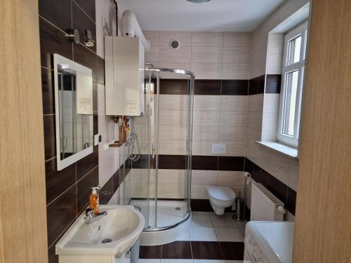 莱希纳Noclegi Leśna的带淋浴、盥洗盆和卫生间的浴室