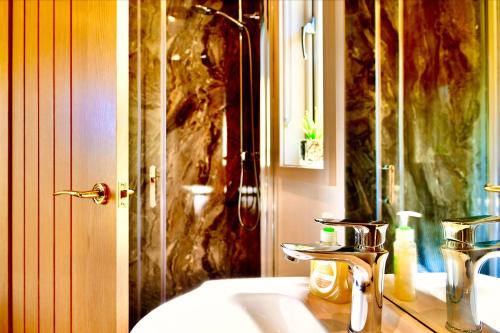 莫尔德Arbennig Luxury Lodges的一间带水槽和淋浴的浴室