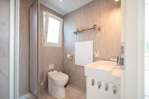 KarninHafenresort Karnin Hausboot Glaukos的一间带卫生间、水槽和窗户的浴室
