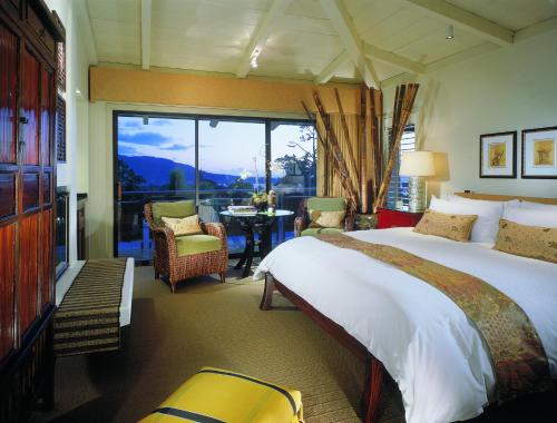 卡梅尔贸易风卡梅尔酒店的酒店客房设有一张床和一个大窗户