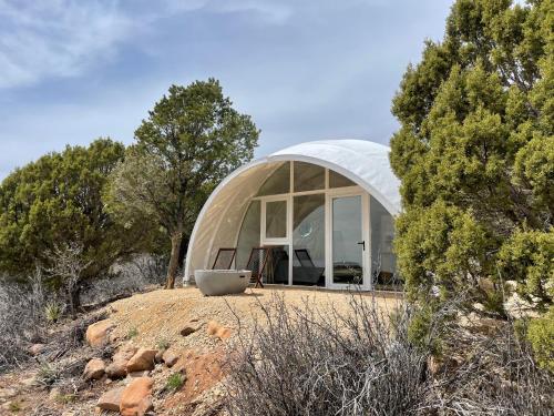 蒙蒂塞洛Canyon Rim Domes - A Luxury Glamping Experience!!的一座树木茂密的山丘上的大型圆顶建筑