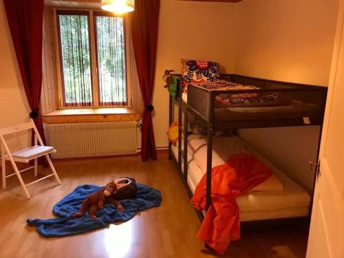 LangenbruckFerienwohnung Hof unterer Dürrenberg Langenbruck的卧室配有两张双层床,地板上设有泰迪熊