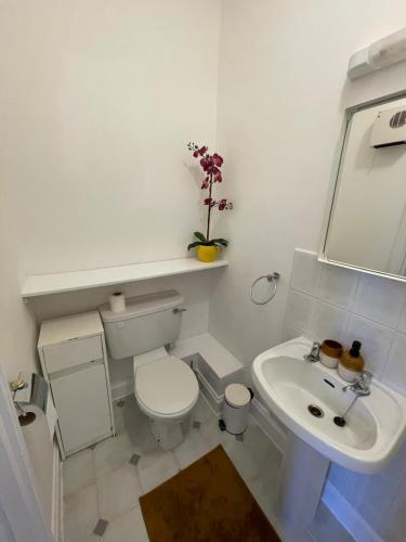 都柏林银鹰住宿加早餐旅馆的白色的浴室设有卫生间和水槽。