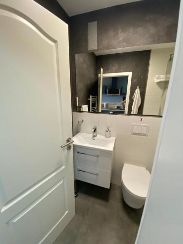 布伦瑞克Apartment Stadtblick的浴室配有白色卫生间和盥洗盆。
