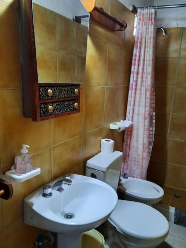 且乌塔El Rinconcito Dulce的一间带水槽、卫生间和镜子的浴室