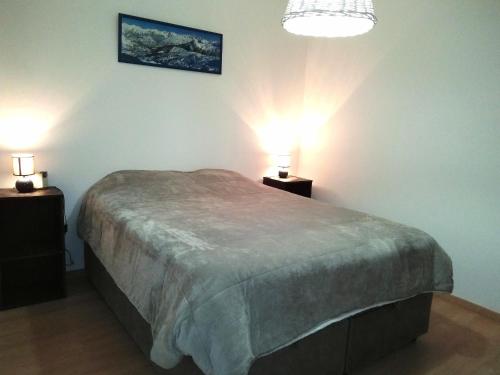 艾姆拉普拉涅Appartement La Plagne-Tarentaise, 3 pièces, 6 personnes - FR-1-351-119的卧室配有一张床,墙上有两盏灯