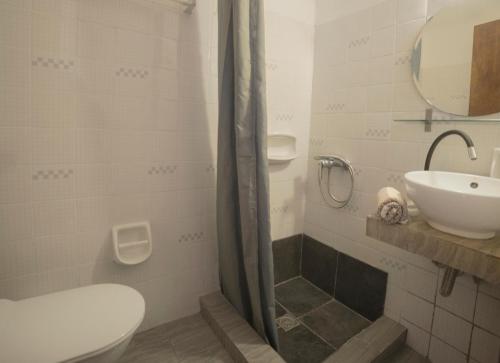 阿基奥斯基利考斯奥伊诺伊旅馆的一间带卫生间和水槽的浴室