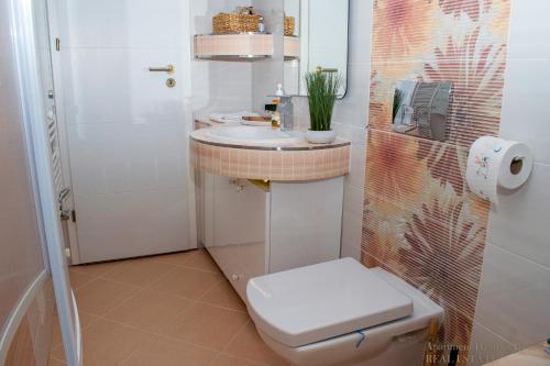 别洛瓦尔Apartment Heart of Bjelovar的一间带卫生间和水槽的小浴室