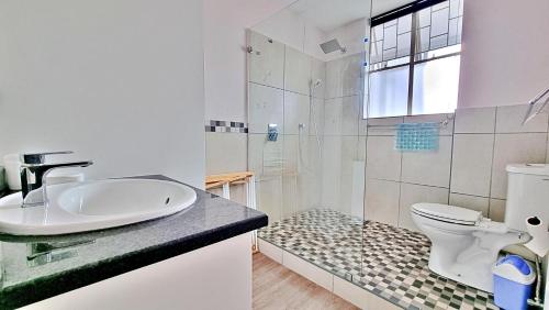 普利登堡湾Summerhill Self-Catering Holiday Accommodation的一间带水槽、卫生间和淋浴的浴室