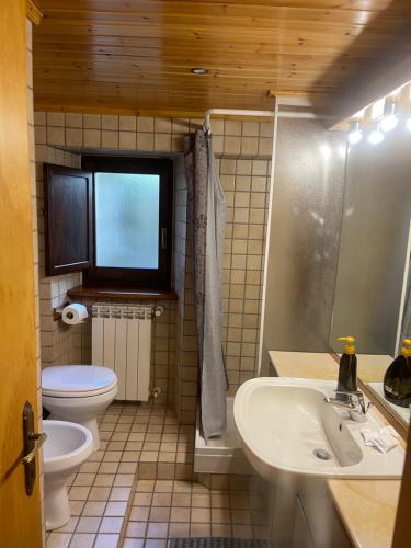 佩斯科克斯坦佐Pescocostanzo chalet的一间带卫生间、水槽和镜子的浴室