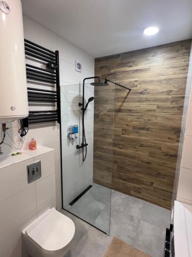 卡托维兹Wood Apartment z Konsola X-Box的带淋浴和卫生间的浴室