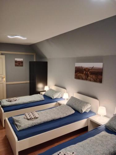 弗伦斯堡Flensburg Zentrum 10 VH 2OG R的一间卧室设有两张床,墙上挂着一幅画
