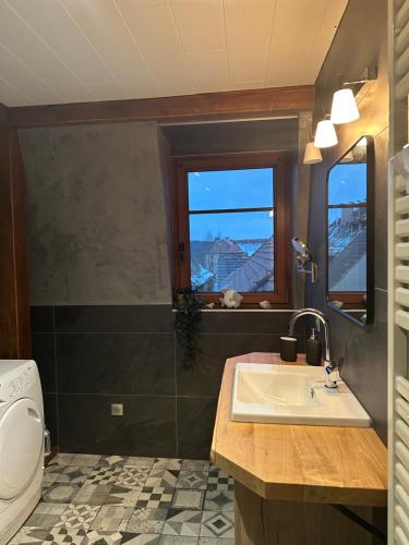 拉佩蒂特皮耶尔Les appartements d'estelle的一间带水槽和卫生间的浴室以及窗户。