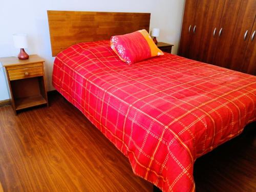 帕尼马维达Hostel Casa Descanso Natural的红色的床,红色的铺着地毯
