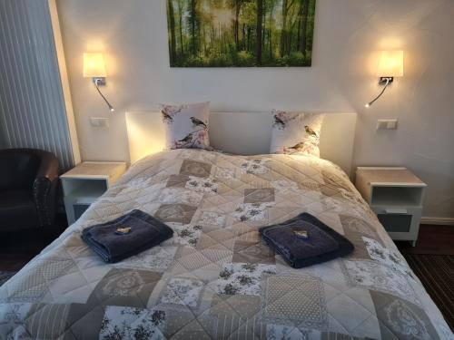 弗雷德里希斯布鲁恩Harz Pension的一间卧室配有一张带两个枕头的床