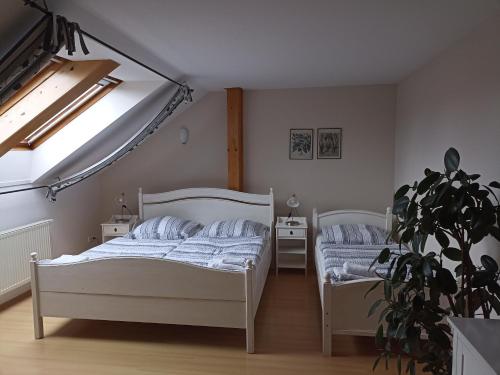 利托米什尔波扎西利托米什尔旅馆的一间卧室设有两张床和盆栽植物