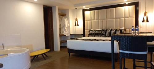 波哥大Hotel Bogota DC的一间卧室配有一张床和一个水槽和一个浴缸
