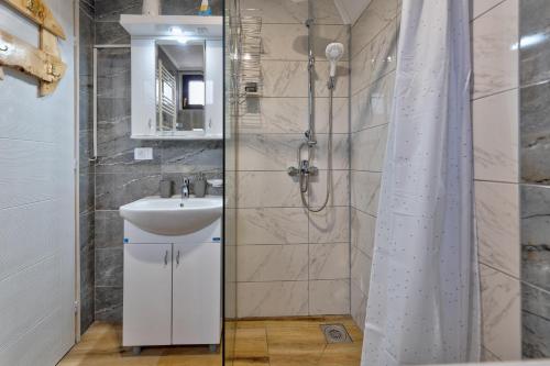 兹拉蒂博尔Vila Deniri的一间带水槽和淋浴的浴室
