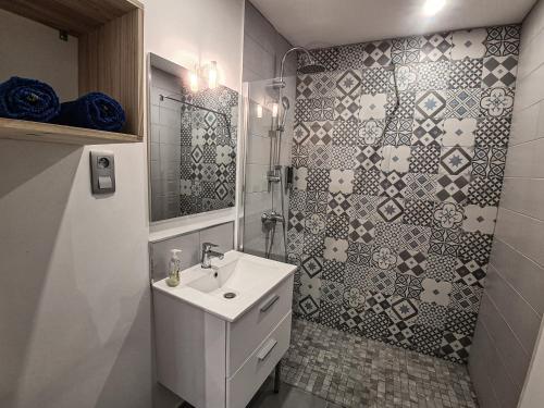 普瓦捷Appart Saint Cyprien + Parking privatif的一间带水槽和淋浴的浴室