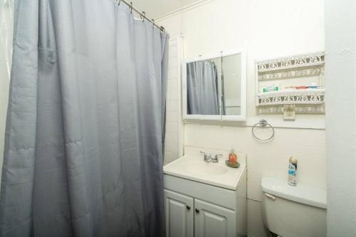 哈特福德The Traveler Suite C1的浴室配有淋浴帘和盥洗盆。