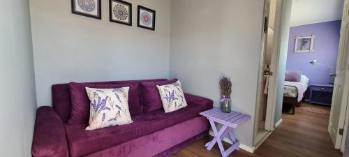 维库尼亚Lavanda del Valle的客厅配有带枕头的紫色沙发