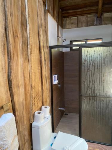 阿维拉纳海滩Finca Avellanas的一间带卫生间和玻璃淋浴间的浴室