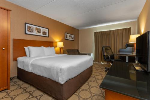 阿默斯特阿默斯特康福特茵酒店的酒店客房配有一张床、一张书桌和一台电视。