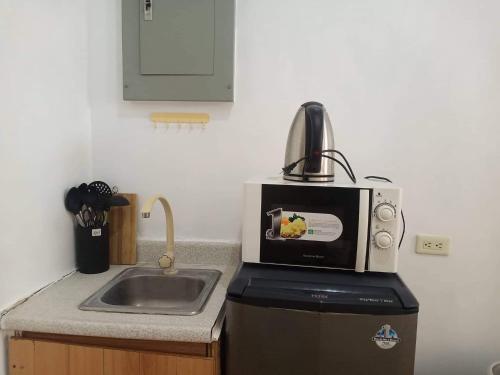 马尼拉Alabang Condotel的厨房配有水槽和微波炉