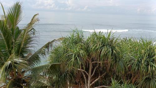 马特勒La Polena的从棕榈树后面可欣赏到海景