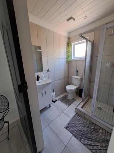 博福特西GRACE'S PLACE的浴室配有卫生间、盥洗盆和淋浴。
