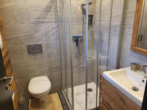 RechyCharmant loft situé à 10 minutes de Vercorin的带淋浴、卫生间和盥洗盆的浴室