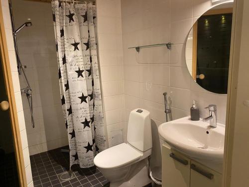 托尔尼奥Style 1BR with sauna,Tornio city的一间带卫生间、水槽和镜子的浴室