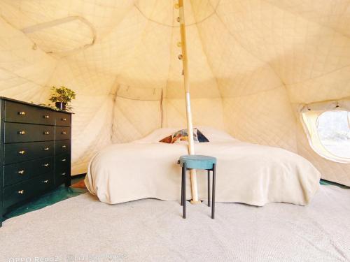 特格斯特Free Canari - Los Alamos 8的帐篷内的一个床位房间