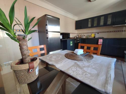 塞亚Segredos da Montanha By RetiroDoResende - Seia的厨房配有桌子和盆栽植物