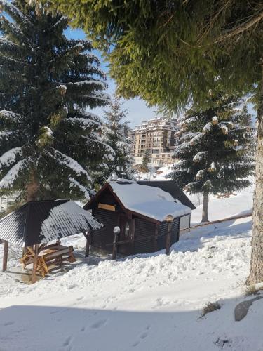 科帕奥尼克Vikendica Čeperković #2的雪上雪的木屋